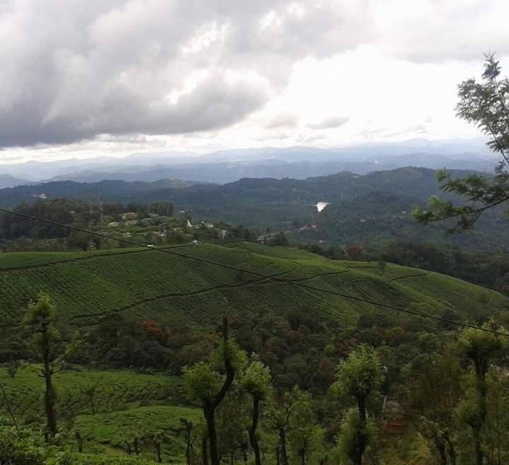Munnar Lush Greens Kültér fotó